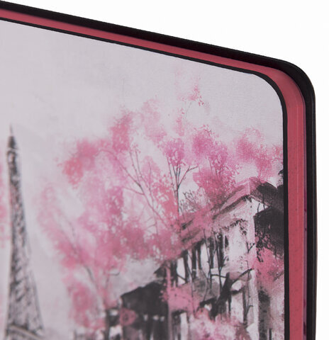 Тетрадь А5 (168х208 мм), 80 л., сшивка, клетка, под кожу, BRAUBERG VISTA, "Paris", 403915