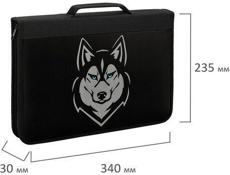 Папка для труда на молнии BRAUBERG А4 с ручкой, 1 отделение, органайзер, "Husky", 271450