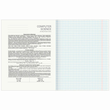 Тетрадь предметная "КЛАССИКА NATURE" 48 л., обложка картон, ИНФОРМАТИКА, клетка, BRAUBERG, 404586