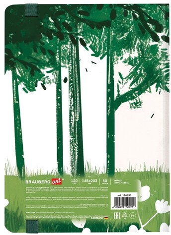 Скетчбук, белая бумага 120 г/м2, 145х203 мм, 80 л., резинка, твердый, BRAUBERG ART, "Прогулка", 116896