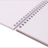 Скетчбук, белая бумага 120 г/м2, 205х290 мм, 40 л., гребень, жёсткая подложка, BRAUBERG ART DEBUT, 110984