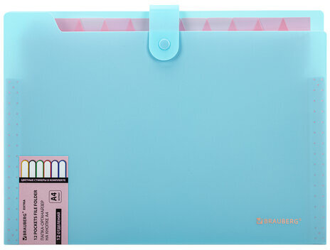 Папка-органайзер на кнопке 12 отделений, BRAUBERG "Extra", А4, голубая с розовым, 271932