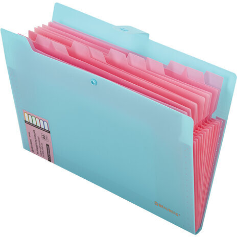 Папка-органайзер на кнопке 12 отделений, BRAUBERG "Extra", А4, голубая с розовым, 271932