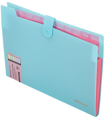 Папка-органайзер на кнопке 12 отделений, BRAUBERG "Extra", А4, голубая с розовым, 271932