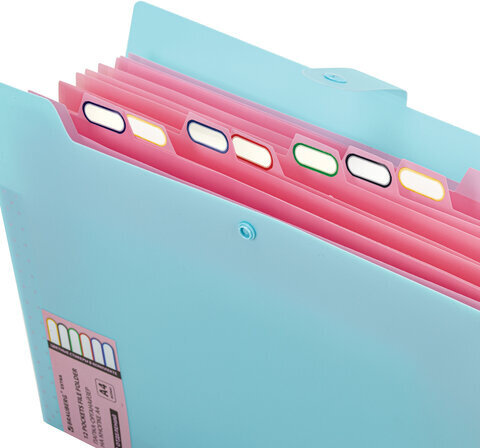 Папка-органайзер на кнопке 12 отделений, BRAUBERG "Extra", А4, голубая с розовым, 271932