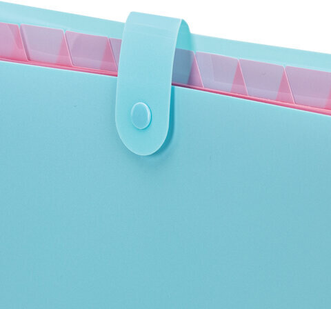 Папка-органайзер на кнопке 12 отделений, BRAUBERG "Extra", А4, голубая с розовым, 271932