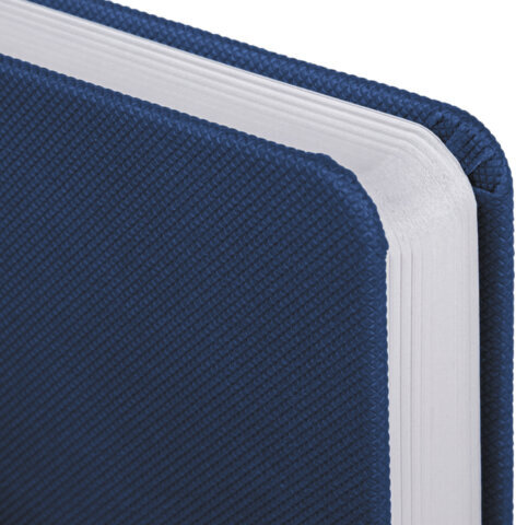 Ежедневник датированный 2025, А5, 138x213 мм, BRAUBERG "Control", под кожу, держатель для ручки, синий, 115845