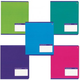 Тетрадь А5, 48 л., АЛЬТ, скоба, линия, выборочный лак, "КЛАССИКА" (5 видов), 7-48-899/2