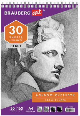 Скетчбук, белая бумага 160 г/м2, 205х290 мм, 30 л., гребень, жёсткая подложка, BRAUBERG ART DEBUT, 110985