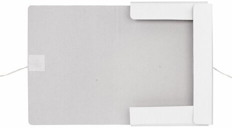 Папка для бумаг с завязками картонная мелованная BRAUBERG, гарантированная плотность 320 г/м2, до 200 листов, 121513