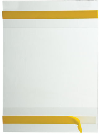 Карманы информационные самоклеящиеся PS-T, А6, вертикальные, КОМПЛЕКТ 10 шт., ПЭТ, толщина 0,3 мм, 171885