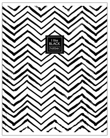 Тетрадь А5 48 л. HATBER скоба, клетка, ламинация, "I Like Black" (5 видов в спайке), 48Т5лВ1