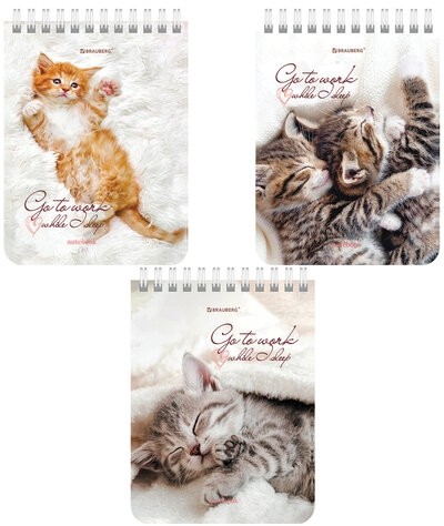 Блокнот МАЛЫЙ ФОРМАТ А6 108х145 мм, 40 л., гребень, картон, клетка, BRAUBERG, "Милые котята", 114391