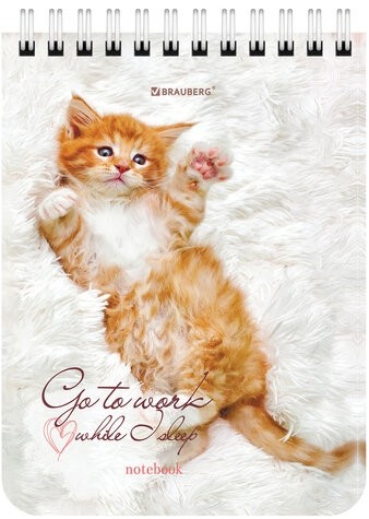 Блокнот МАЛЫЙ ФОРМАТ А6 108х145 мм, 40 л., гребень, картон, клетка, BRAUBERG, "Милые котята", 114391