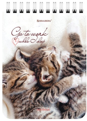 Блокнот МАЛЫЙ ФОРМАТ А6 108х145 мм, 40 л., гребень, картон, клетка, BRAUBERG, "Милые котята", 114391