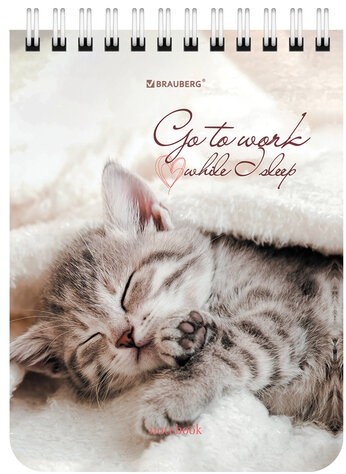 Блокнот МАЛЫЙ ФОРМАТ А6 108х145 мм, 40 л., гребень, картон, клетка, BRAUBERG, "Милые котята", 114391