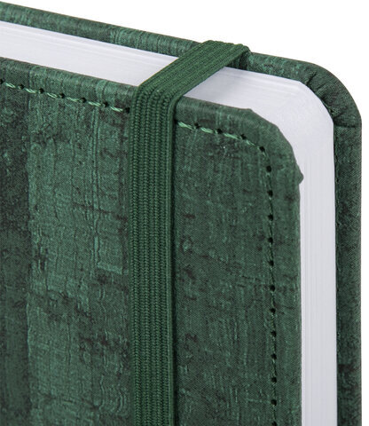 Ежедневник датированный 2024 А5 138x213 мм BRAUBERG "Wood", под кожу, держатель для ручки, зеленый, 114902