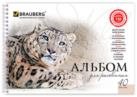 Альбом для рисования, А4, 40 листов, гребень, обложка картон, BRAUBERG, 205х290 мм, "Благородные кошки" (2 вида), 102831