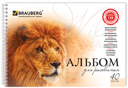 Альбом для рисования, А4, 40 листов, гребень, обложка картон, BRAUBERG, 205х290 мм, "Благородные кошки" (2 вида), 102831