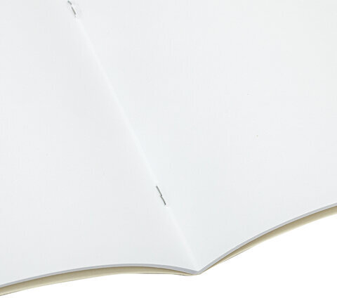 Альбом для рисования, А4, 20 л., скоба, обложка картон, BRAUBERG, 200х283 мм, "Я рисую мир" (2 вида), 104872