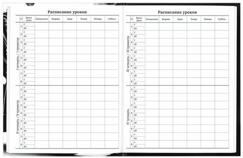 Дневник 1-11 класс 40 л., твердый, BRAUBERG, глянцевая ламинация, "Байк", 106849