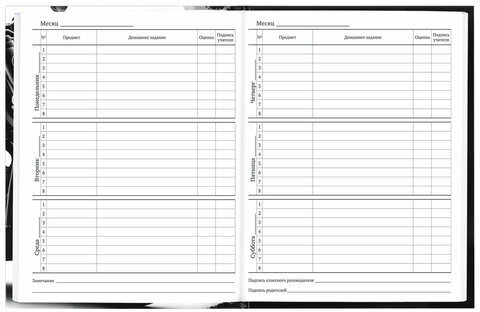 Дневник 1-11 класс 40 л., твердый, BRAUBERG, глянцевая ламинация, "Байк", 106849