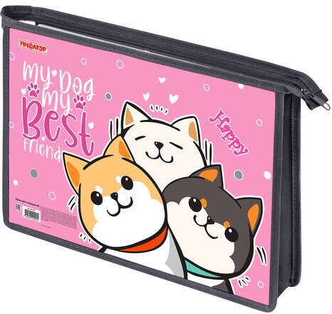 Папка для тетрадей ПИФАГОР А4, 1 отделение, картон/пластик, на молнии, "Best team", 272124