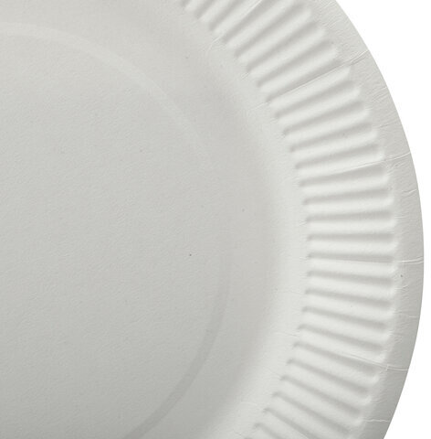 Тарелка одноразовая бумажная 230 мм, КОМПЛЕКТ 100 шт., БЮДЖЕТ, белая мелованная, LAIMA, 608084