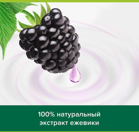 Гель для душа 250 мл, PALMOLIVE ГУРМЭ СПА "Ежевичный мусс", 8718951180369