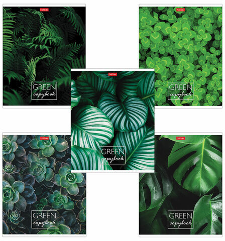 Тетрадь А5 96л. HATBER скоба, клетка, обложка картон, "MOREgreen" (5 видов), 96Т5В1