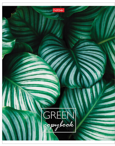 Тетрадь А5 96л. HATBER скоба, клетка, обложка картон, "MOREgreen" (5 видов), 96Т5В1