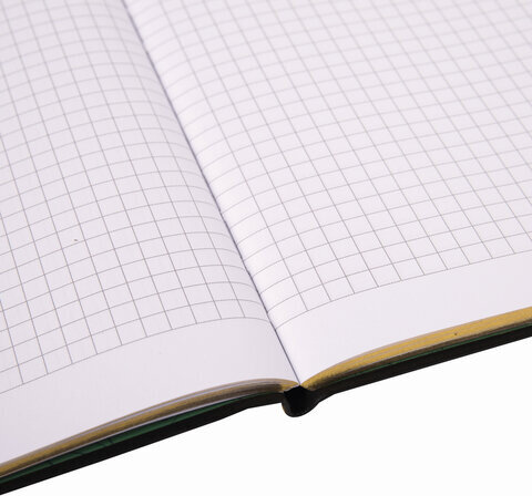 Тетрадь А5 (168х208 мм), 80 л., сшивка, клетка, под кожу, бумага 70 г/м2, фольга, BRAUBERG VISTA, "Lemon Story", 403918