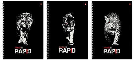 Тетрадь А4, 96 л., АЛЬТ, гребень, клетка, глянцевая ламинация, "Rapid" (3 вида), 7-96-1122