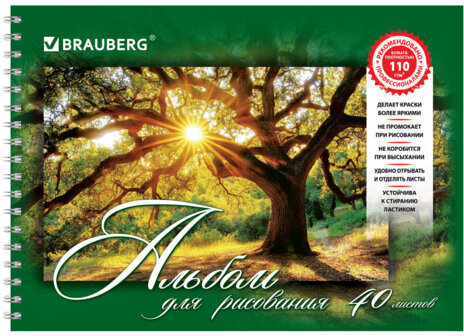 Альбом для рисования, А4, 40 листов, гребень, обложка картон, BRAUBERG, 205х290 мм, "Удивительная Природа" (2 вида), 102832