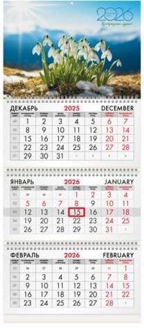 Календарь квартальный на 2026 г., 3 блока, 3 гребня, бегунок, офсет, BRAUBERG, &quot;Подснежники&quot;, 116778