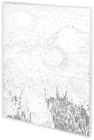 Картина по номерам 40х50 см, ОСТРОВ СОКРОВИЩ "Маковое поле", на подрамнике, акриловые краски, 3 кисти, 662493