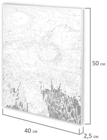 Картина по номерам 40х50 см, ОСТРОВ СОКРОВИЩ "Маковое поле", на подрамнике, акриловые краски, 3 кисти, 662493