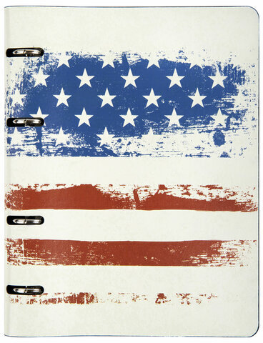 Тетрадь на кольцах А5 (180х220 мм), 80 л., под кожу, BRAUBERG VISTA, "USA", 112122