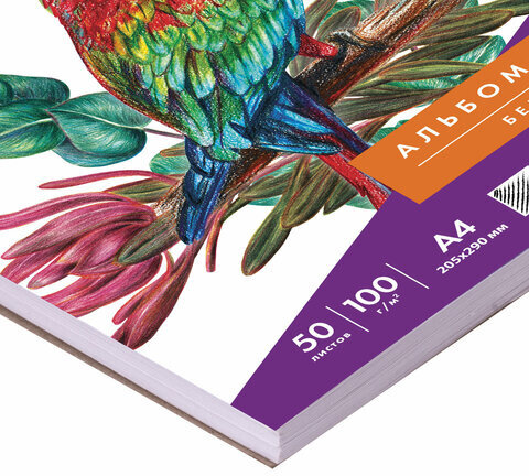 Скетчбук-блокнот для рисования белая бумага 100 г/м2, 205х290 мм, 50 л., КОМПЛЕКТ 2 шт., BRAUBERG, 880274