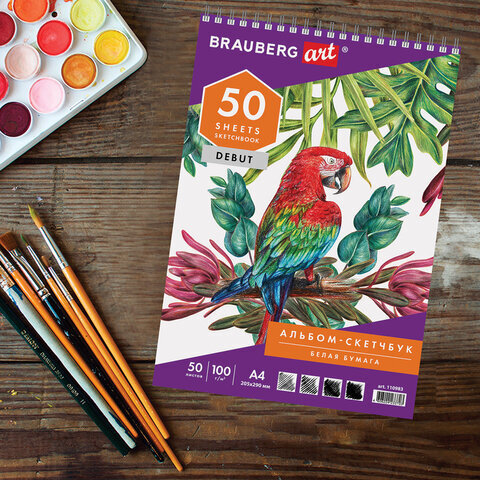 Скетчбук-блокнот для рисования белая бумага 100 г/м2, 205х290 мм, 50 л., КОМПЛЕКТ 2 шт., BRAUBERG, 880274