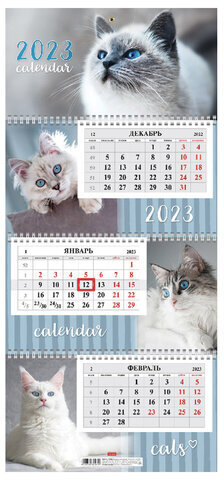 Календарь квартальный с бегунком 2023 г., 3 блока, 3 гребня, ЭКСТРА, &quot;Кошачьи глазки&quot;, HATBER, 3Кв3гр3ц_27889