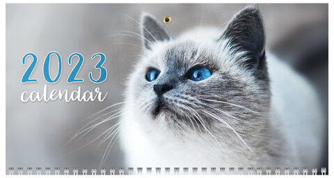 Календарь квартальный с бегунком 2023 г., 3 блока, 3 гребня, ЭКСТРА, "Кошачьи глазки", HATBER, 3Кв3гр3ц_27889