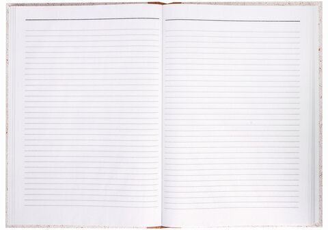 Книга учета 96 л., линия, твердая, крафт, блок офсет, А4 (200х290 мм), STAFF, 130216