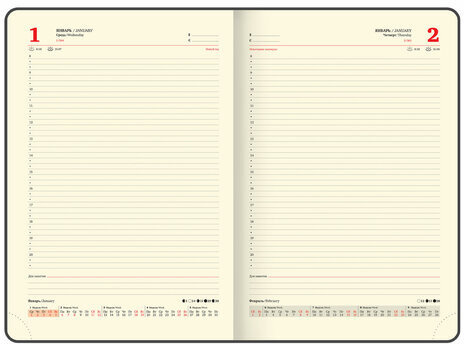 Ежедневник датированный 2025, БОЛЬШОЙ ФОРМАТ, 210х297 мм, А4, BRAUBERG "Iguana", под кожу, коричневый, 115736