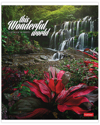 Тетрадь А5 96 л. HATBER скоба, линия, обложка картон, "Удивительный мир" (5 видов), 96Т5В2