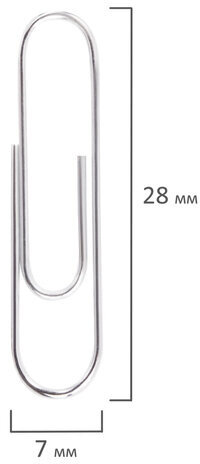 Скрепки EXTRA BRAUBERG 28 мм никелированные 100 штук, 271312