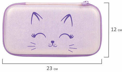 Пенал BRAUBERG SHINY, 1 отделение, 1 откидная планка, EVA, 22х13х4 см, "Cheerful", 271554