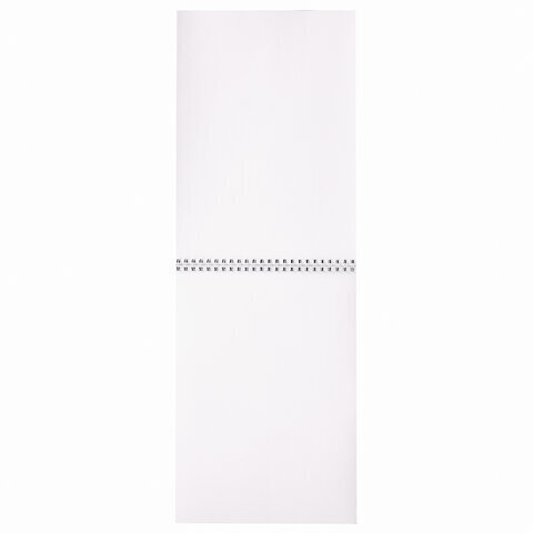 Альбом для рисования, А4, 40 листов, гребень, выборочный лак, подложка, 120 г/м2, BRAUBERG, 205х290 мм, "Картина" (2 вида), 102834