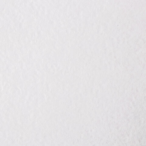 Альбом для рисования, А4, 40 листов, гребень, выборочный лак, подложка, 120 г/м2, BRAUBERG, 205х290 мм, "Картина" (2 вида), 102834