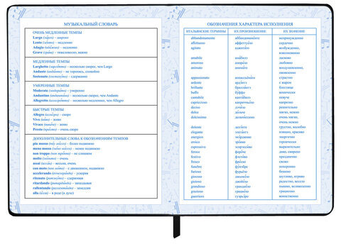 Дневник для музыкальной школы 48 л., обложка кожзам твердая, фольга, BRAUBERG, КЛАССИКА, 107369